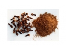 �������� 37 ���..jpeg