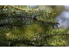 ��� 55 ���..jpeg