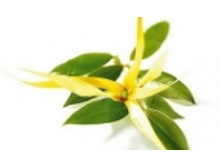 �����-����� 131 ���..jpeg