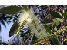 ������� 76 ���..jpeg