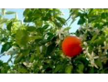 �������� 57 ���..jpeg