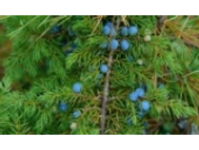 ������������ 39 ���..jpeg