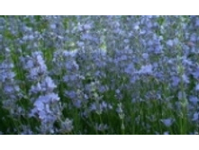 ������� 59 ���..jpeg