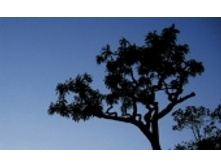 ����� 291 ���..jpeg