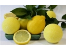 ����� 33 ���..jpeg