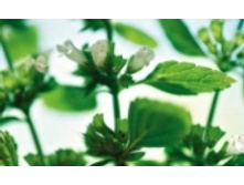 ������� 48 ���..jpeg