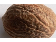 ���� ��������� 102 ���..jpeg