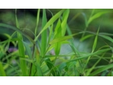 ���������� 83 ���..jpeg