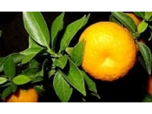 �����-�����92 ���..jpeg