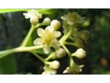 �� 68 ���..jpeg