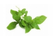 ������. 87 ���..jpeg