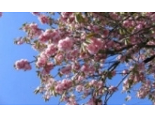 ������� ������ 92 ���..jpeg