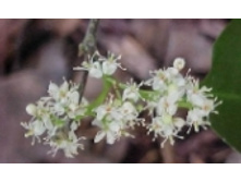 ������ 120 ���..jpeg