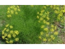 ������� 59 ���..jpeg