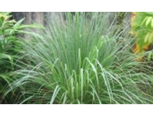 ���������� 34 ���..jpeg