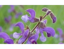 ������ ��������� 65 ���..jpeg