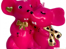 �����. ����������� �������. �����.  78 ���.