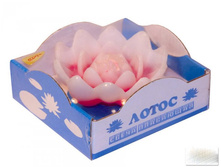 ����� ��������� "�����" 33 ���.