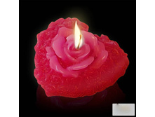 ����� ����. "��������-����"  33 ���.