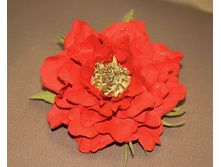 IMG_97055.jpg