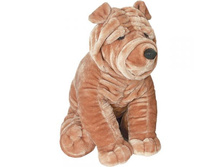 0252�V��_������ �������  �70��_1547,00.jpg