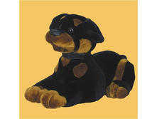 0392���_��������� �63��_786,00.jpg