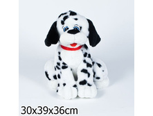 1508��_����� ����� �42 ��_517,00.jpg