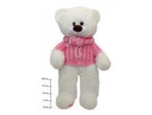 1548���_����� � �������� �65 ��_678,00.jpg