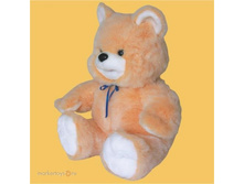 3212���_����������  �120��_4748,00.jpg