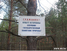 ��������!