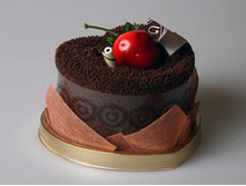 ���������-�������� TC-sl03cl   235 ���.jpg