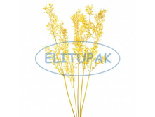 7201 ������ ������ 100 � 50 � ������ 200!!!.jpeg