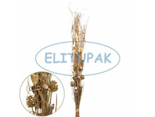 B109 ���� ����� �������� ������� 50 � ������ 350!!!.jpeg