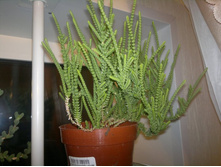 ��������� ������������