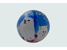 C717-10_��� ��������� (� ������)_37,61 ���..jpg