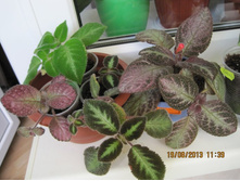 �������