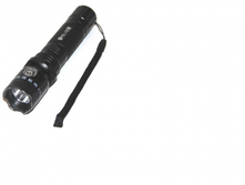 ��� 1101 Police.png