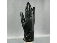 ������� 9040N 1.jpg 810�