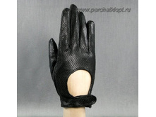 ������� 9221N.jpg 810�