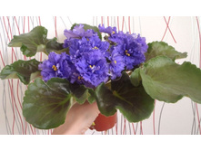 ��-�������� �.jpg