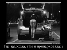 78824265_gde-zaglohla-tam-i-priparkovalas.jpg