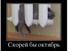 54497927_skorej-byi-oktyabr.jpg