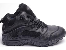 1630 ���., 36-41