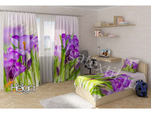 ������� ������ v2 ���. 2151-��.jpg