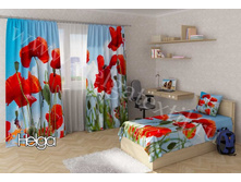 ���� � ������ v4 ���.2492-�� - �����.jpg