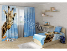 ����� ���.2582-��.jpg