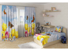 ������� ���.2563-��.jpg