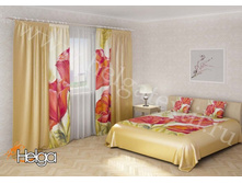 ���� ����� v3 ���.2822-��.jpg