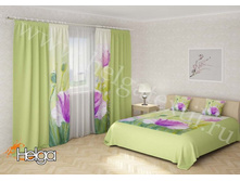 ���� ����� v4 ���.2823-��.jpg