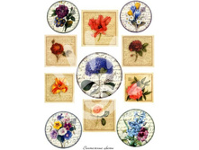 ��������� �����.jpg